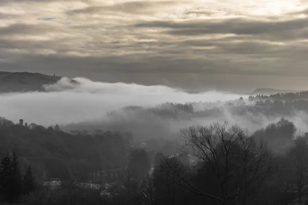 Foggy Valley