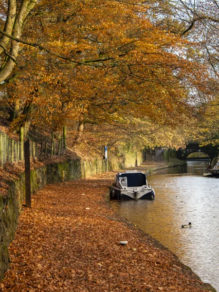 Autumn by the canal